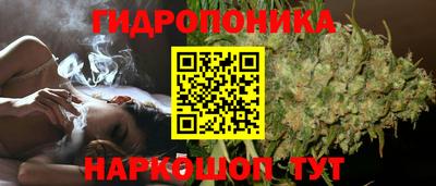 PSILOCYBIN Ликино-Дулёво