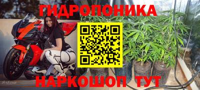 прущие крисы Лесосибирск