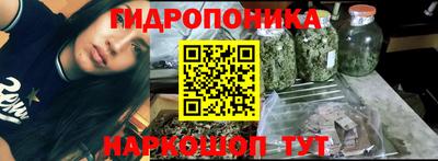 прущие крисы Лесосибирск