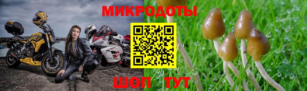 Галлюциногенные грибы ЛСД Каменка